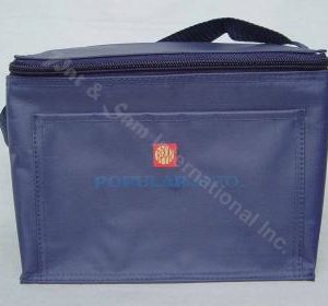 6 Bottles Capacity Cooler bag