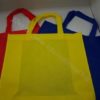 PP Non-woven Bag