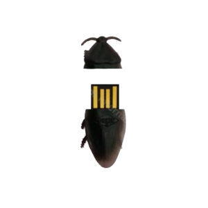 Roach Flash Drive