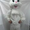 Bunny Suites - Image 2