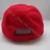 Dish Network Cap - Image 2