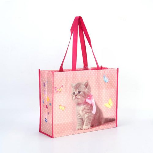 Non Woven Bag (2)