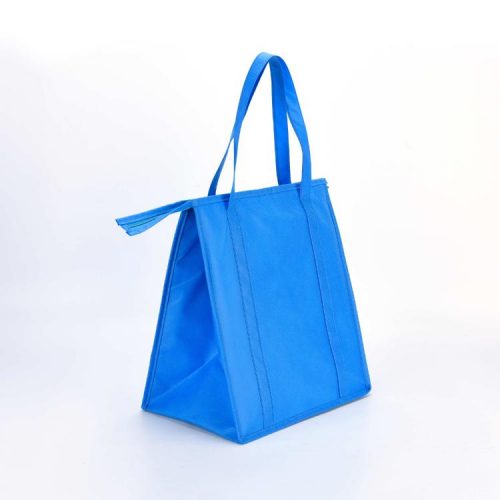 Non Woven Bag (6)